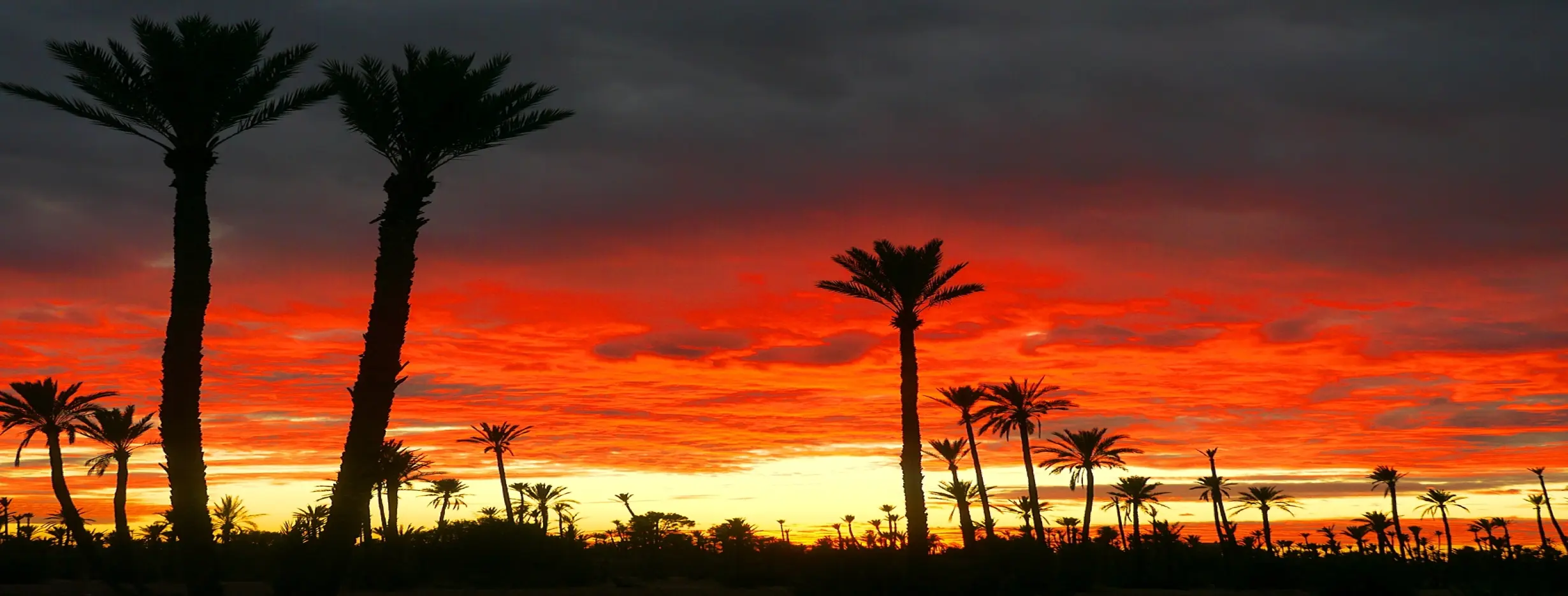 Image for Sunset Haven